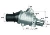 FIAT 46550095 Thermostat, coolant